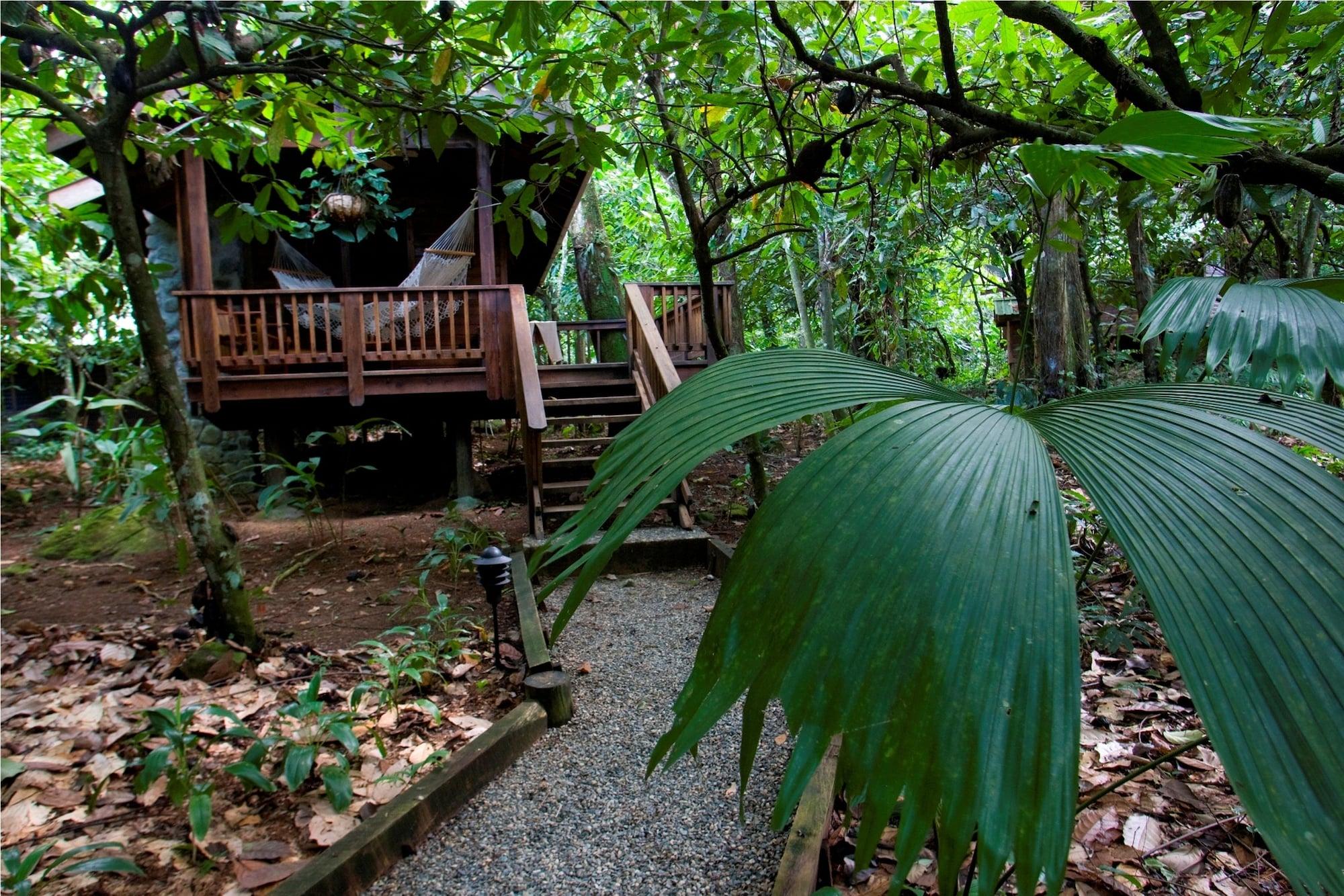 The Lodge & Spa At Pico Bonito El Pino Exterior photo