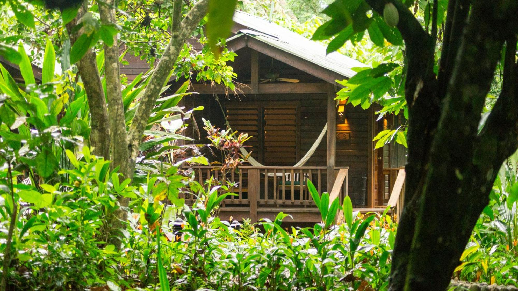 The Lodge & Spa At Pico Bonito El Pino Exterior photo