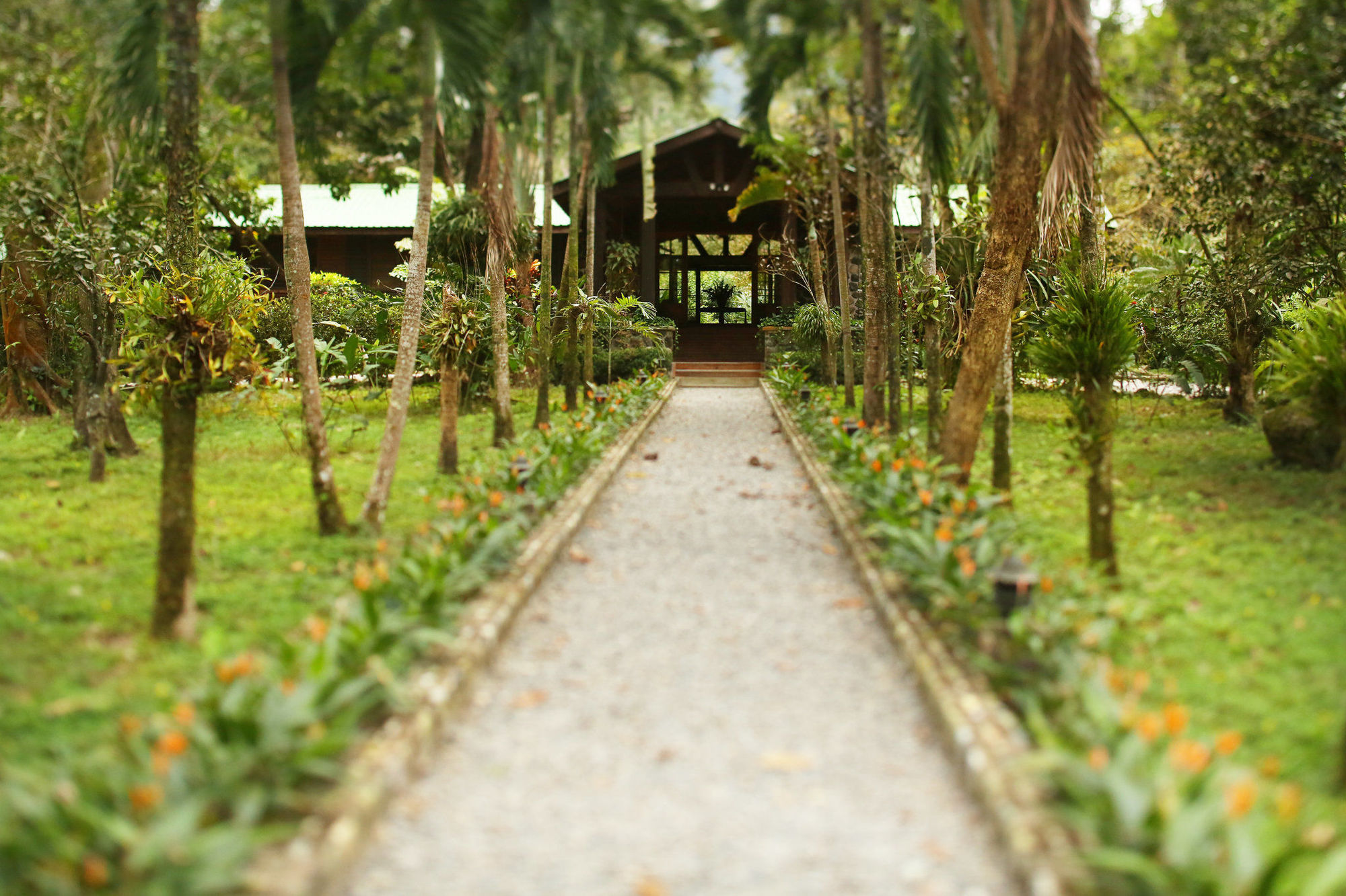 The Lodge & Spa At Pico Bonito El Pino Exterior photo