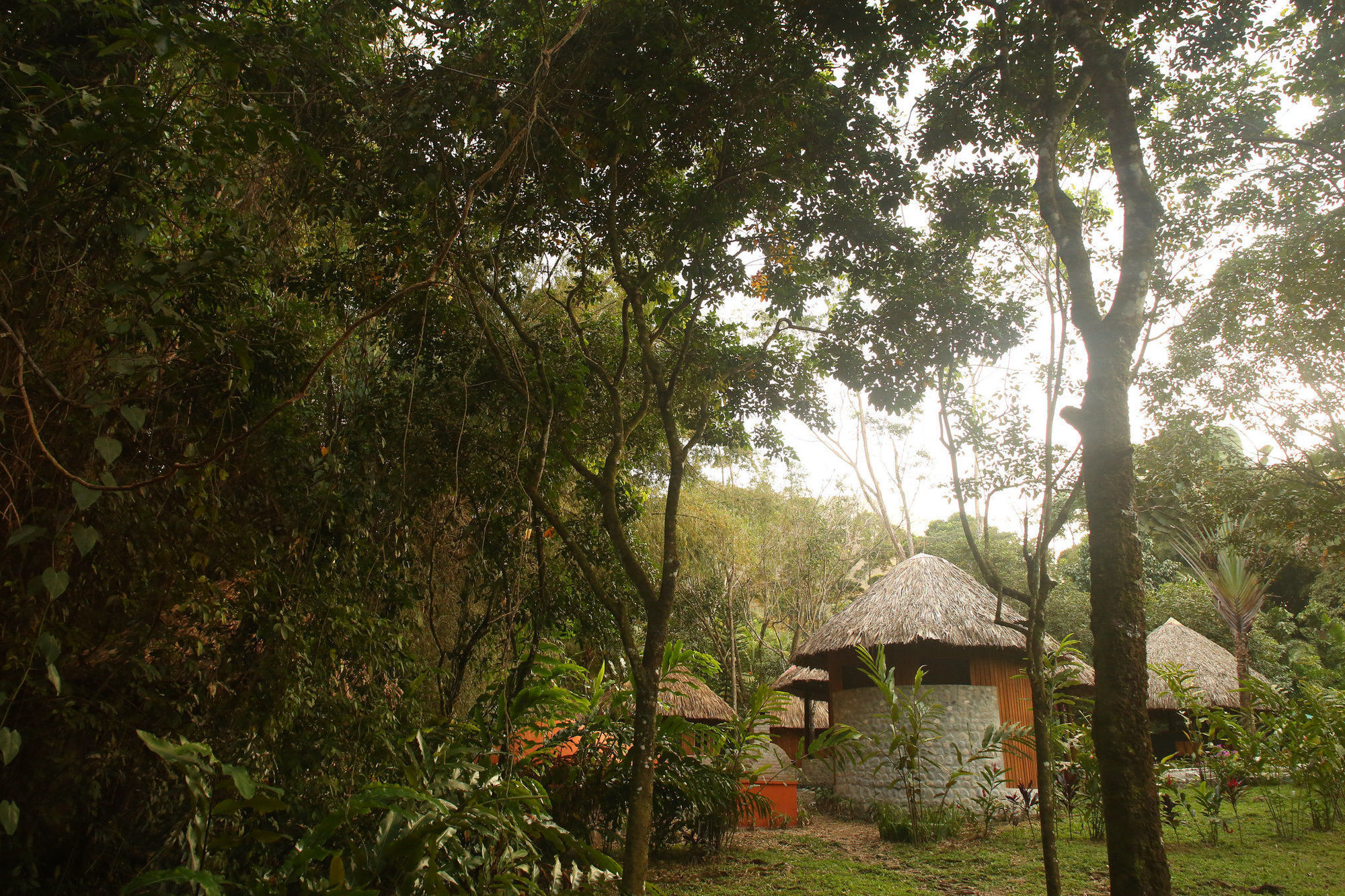 The Lodge & Spa At Pico Bonito El Pino Exterior photo
